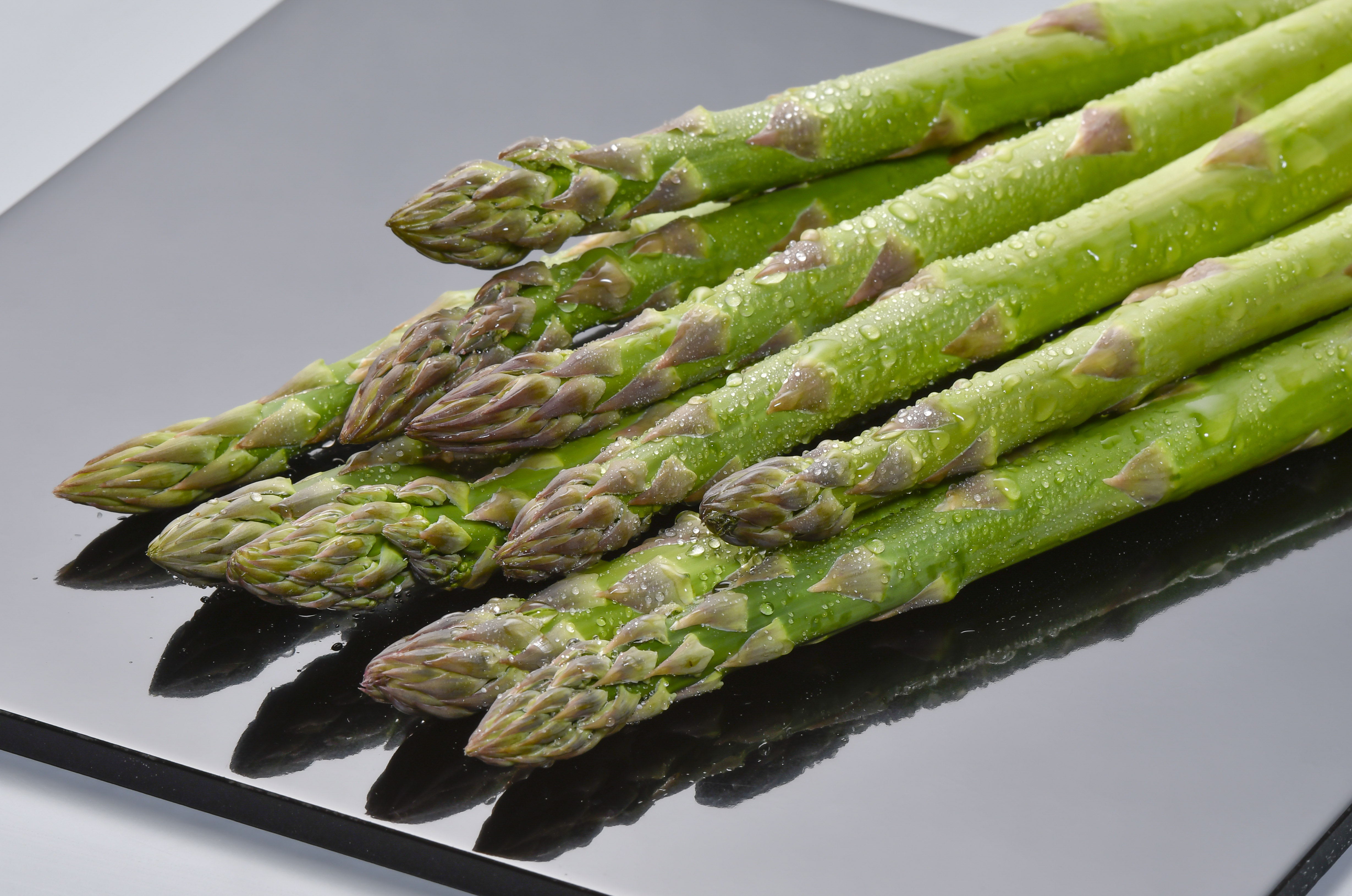 くだものときのこの王国